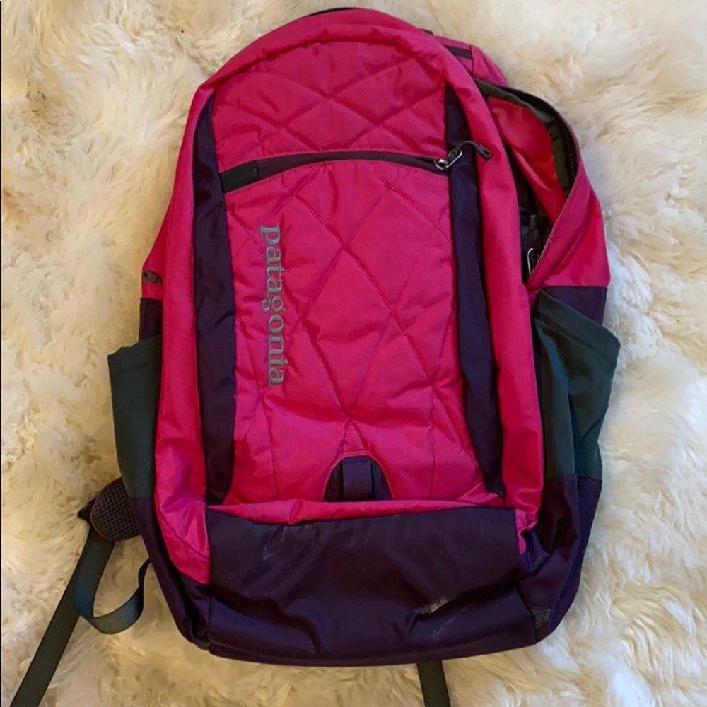 Pink Patagonia Backpack